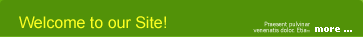 Hilo Hawaii Website Design & Development, Hosting and SEO Services