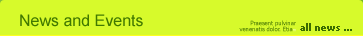 Hilo Hawaii Website Design & Development, Hosting and SEO Services Blog